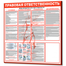 1000х1000 "Правовая ответственность "Мини"